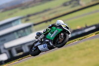 PJ-Motorsport-2019;anglesey-no-limits-trackday;anglesey-photographs;anglesey-trackday-photographs;enduro-digital-images;event-digital-images;eventdigitalimages;no-limits-trackdays;peter-wileman-photography;racing-digital-images;trac-mon;trackday-digital-images;trackday-photos;ty-croes